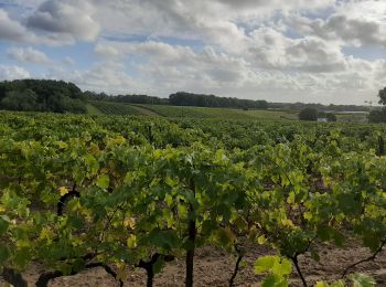 Trail Walking Pons - Pons et les seugnes - Photo