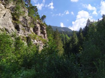 Excursión Senderismo Marktgemeinde Zirl - Zirl - Photo