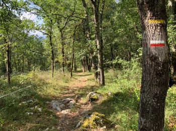 Trail Walking Pamiers - 2023 09 18 CHEMIN du PIÉMONT PYRÉNÉEN - 11ème étapes :  Pamiers - St-Victor-Rouzaud- Montégut Plantaurel - Le Mas-d’Azit. - Photo