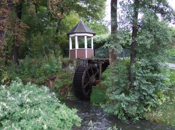 Tour Zu Fuß Tambach-Dietharz - Ww Tambach-Dietharz - Rennsteig - Photo