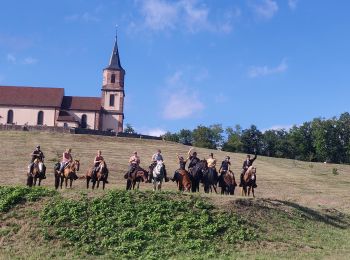 Percorso Equitazione Saint-Pierre-Bois - 2022-09-11 Picnic CVA St Gilles Bernstein Ortenbourg - Photo