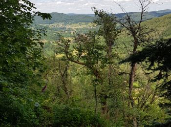 Trail Walking Le Tholy - les cascades - Photo