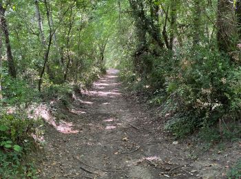 Trail Walking Tharaux - Tharaux - Photo