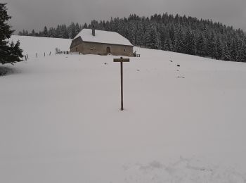Tocht Sneeuwschoenen Mouthe - Mouthe 20200309 - Photo