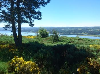 Excursión Senderismo Naussac-Fontanes - 210614 - Les Balcons du Lac - Photo