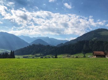 Trail On foot Schüpfheim - Luswald - Obstaldenegg - Photo