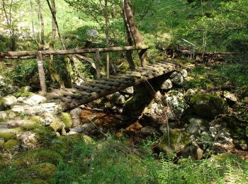 Trail Walking Thueyts - Thueyts-Passerelle de Luzet-Champfagot-Barnas  - Photo