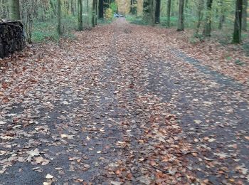 Tocht Stappen Le Rœulx - Le Roeulx adeps 191123 - Photo