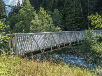 Trail On foot Arosa - Langwies-Mattjisch Horn - Photo