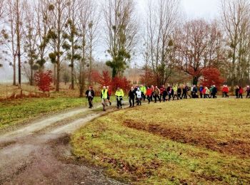 Excursión Senderismo Soulitré - Marche d' hiver 2019 des TCS - Photo