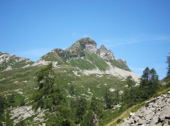 Tocht Te voet Toceno - M25 - Promez - Forcola di Larecchio - Photo