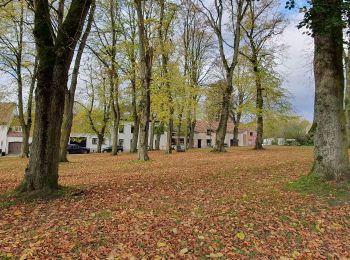 Randonnée A pied Lasne - Ransbeck - La Marache - Photo