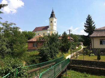 Percorso A piedi Salgótarján - P (Salgótarján - Karancsberény) - Photo