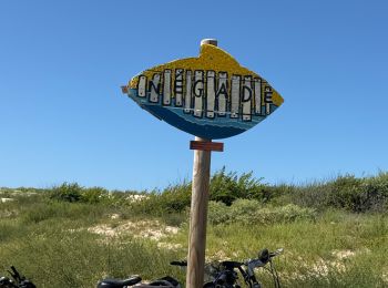 Trail Hybrid bike Vendays-Montalivet - Pointe de la Grave - Photo