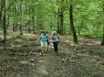 Trail Walking Rambouillet - la tour - Photo