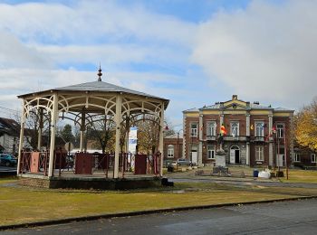 Randonnée Marche Bassenge - Roclenge-sur-Geer - Photo