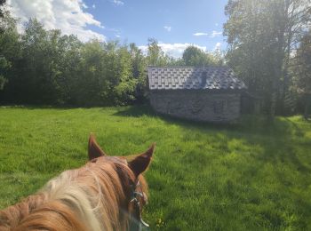 Trail Horseback riding Le Pontet - 202405 boucle BourgetEnHuile - ColGrandCucheron - Photo