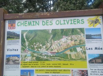 Tour Wandern Les Mées - LES MEES . CHEMIN DES OLIVIERS O L  - Photo