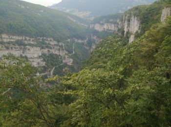 Trail Walking Saint-Julien-en-Vercors - le pont du diable - Photo