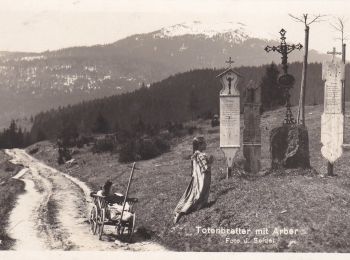 Randonnée A pied Bayerisch Eisenstein - Wanderweg 5 (Rot) - Photo