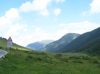 Percorso A piedi Schilpario - (SI D23S) Rifugio Nani Tagliaferri al Passo di Venano - Passo del Vivione - Photo