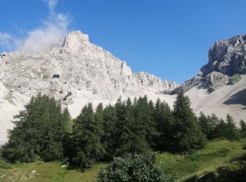 Trail Walking Montmaur - Pic de bure - Photo