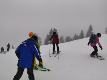 Tocht Te voet Haus - Wanderweg 43 - Photo