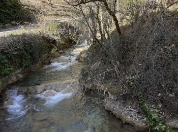 Trail Walking Virieu-le-Grand - cascade de Clairefontaine - Photo