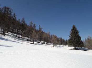 Trail Snowshoes Montricher-Albanne - Albanne - les Arpons - Photo