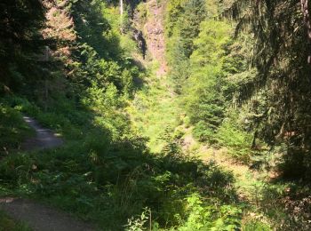 Trail Walking Storckensohn - Storckensohn-Gazon Vert vers l'étang - Photo