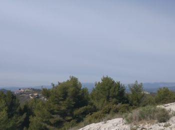 Randonnée Marche nordique Toulon - château vallon  - Photo