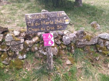 Tour Wandern Rocles - 07 pissas bouteillac - Photo