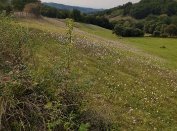 Tocht Stappen Conques-en-Rouergue - mise en jambes  - Photo