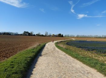 Tocht Stappen Fleurus - Baulet - Photo