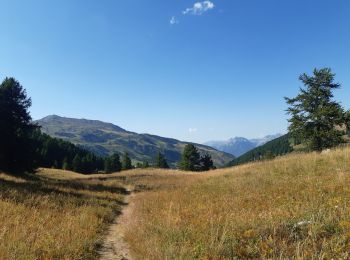 Excursión Senderismo Vars - col de vars via l écuelle retour via refuge napoléon et font bonne - Photo