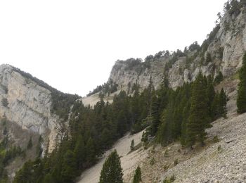 Tocht Stappen Romeyer - Col des Bachassons depuis Romeyer - Photo