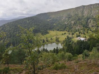 Trail Walking Soultzeren - Lac Vert - Lac Forlet Sity - Photo