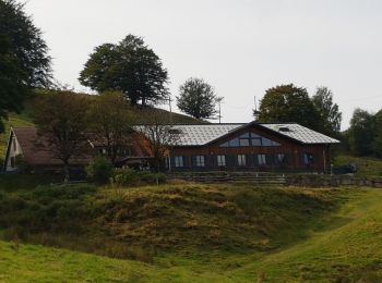 Tocht Stappen Kirchberg - Lachtelweiher - fermes auberges - Photo