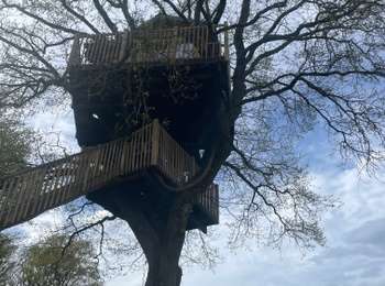 Trail Walking Namur - Wierde -Mozet  xieme version.  - Photo