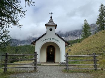 Randonnée A pied Ramsau am Dachstein - Dureggrundweg 