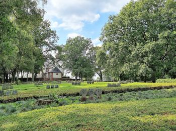 Tocht Te voet Kastel-Staadt - Kasteler Felsenpfad - Photo