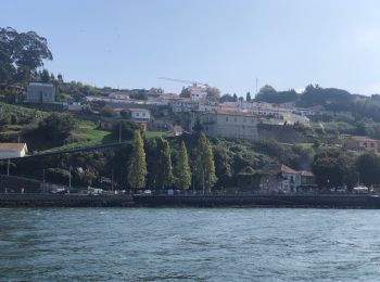 Tocht Motorboot Cedofeita, Santo Ildefonso, Sé, Miragaia, São Nicolau e Vitória - Porto 5 croisière  - Photo