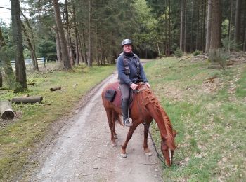 Trail Horseback riding Lierneux - C A 2024 Bra - Photo
