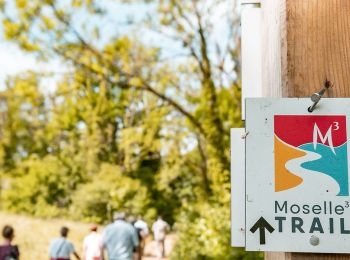 Randonnée A pied Schengen - Moselle³ Trail - Au pays des trois frontières  - Photo