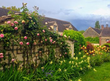 Tour Wandern Nailly - Boucle 25 km autour de Nailly  - Photo