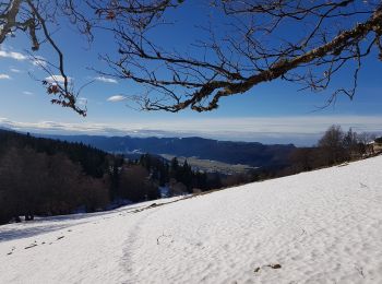 Percorso Marcia Autrans-Méaudre en Vercors - La Sure par Plénouse  - Photo