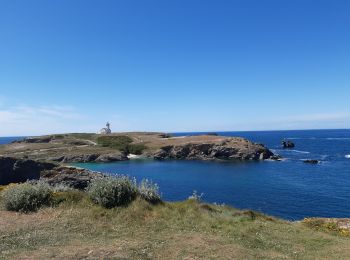 Tocht Stappen Le Palais - le Palais pointe des Poulains - Photo