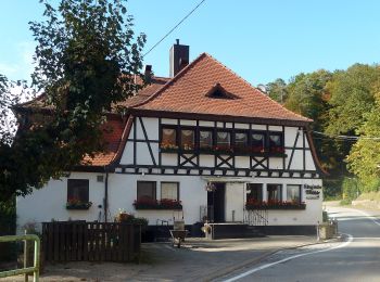 Randonnée A pied Trippstadt - Wanderweg Trippstadt 4: Karlstalrundweg - Photo