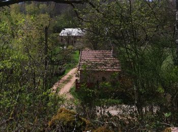 Tocht Stappen Saint-Martin-de-la-Mer - island alligny island - Photo