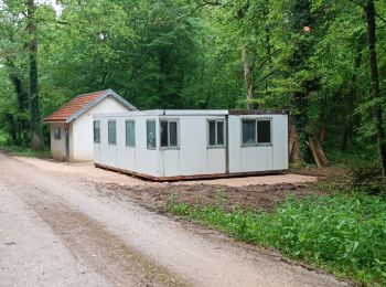 Percorso Marcia Estissac - Forêt communale d'Estissac - Photo